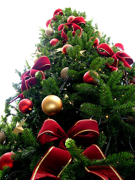 Origins Of The Christmas Tree Pictures Wallpapers